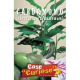Cardamomo