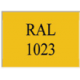 Ral 1023